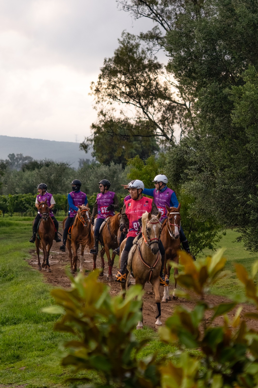 Jinetes del Reflejos Endurance Team en competencia de resistencia ecuestre, galopando entre senderos verdes